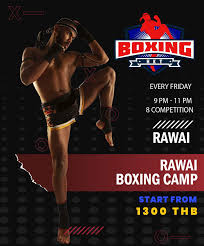 boxing camp poster